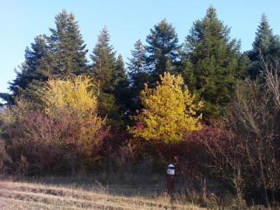 Прикрепленное изображение: вод3.jpg